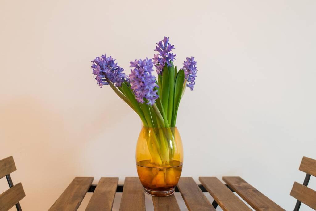 Charming Apartment In City Center Amsterdam Bagian luar foto